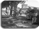 Préparation à l'abattage de l'arbre