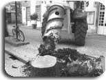 La carotteuse Desouch'Arbres en ville