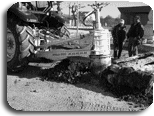 La carotteuse: un exemple de carotte extraite d'une souche